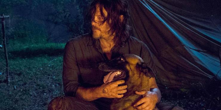 The Walking Dead Age Height & 8 Other Things You Didnt Know About Norman Reedus The Walking Dead Age Height & 8 Other Things You Didnt Know About Norman Reedus